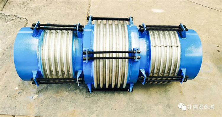 1699423099852101.jpg 640.jpg